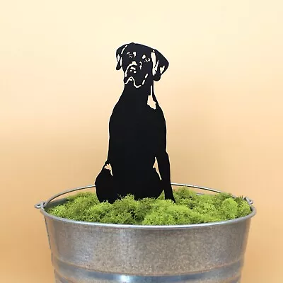 German Shorthaired Pointer Black Metal Dog Silhouette • $49