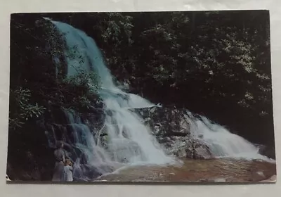 Laurel Falls The Great Smoky Mountains National Park Tenn. Postcard (Y1) • $4.63