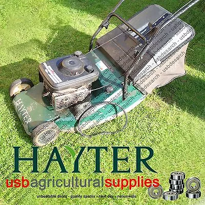 £8.48 • Buy Hayter Harrier 48 Drive Belt 219110 Lawnmower Motion Clutch Next Day