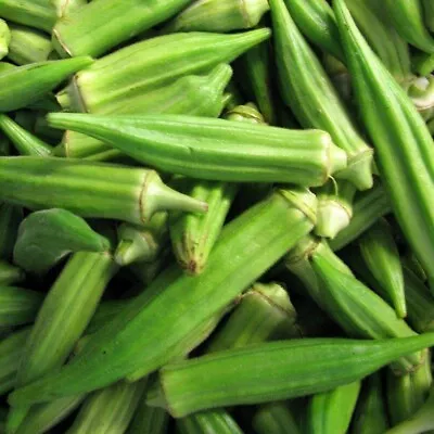 Okra (Emerald) 90+ Seeds (Abelmoschus) Instructions Included X • $11.50