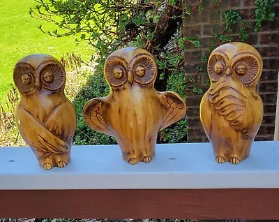 Vintage Mid Century Hand Carved Wooden Owls Set Of 3 • $65