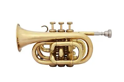 Mini Pocket-Trumpet-Brass-Colored-Bb-Pitch-Free-Hard-Case-Mouthpiece • $125.24