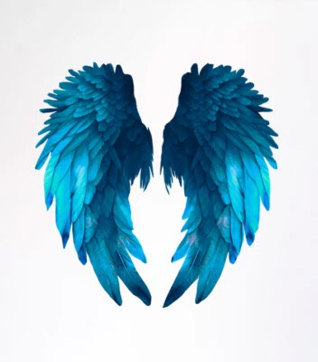 £3.99 • Buy Angel Wings Wall Art Colourful Vinyl Sticker Decals Z064