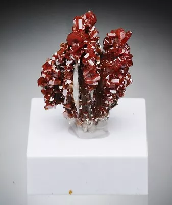 VANADINITE - Red Crystals On Matrix - MOROCCO /bo354 • $14.90