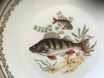 Giraud Limoges Complete Bone China Dinner Service Fish Motive  • £250