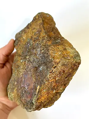 HUGE 2 LB 14+ OZ HIGH GRADE FINE GOLD ORE California Raw Specimen 1.3+ KILOGRAM! • $269.99