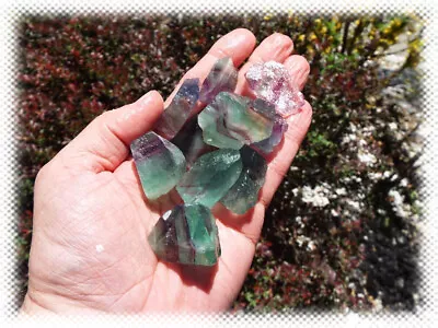 1 Pound Lots - Multi Color Fluorite Pieces • $12.99