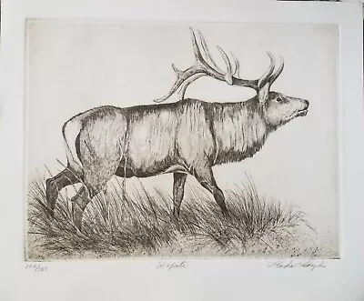LINDA LLOYD Original Etching Wapiti American Elk Signed Numbered • $75