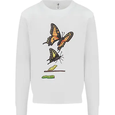 Butterfly Evolution Caterpillar Butterflies Kids Sweatshirt Jumper • $35.75