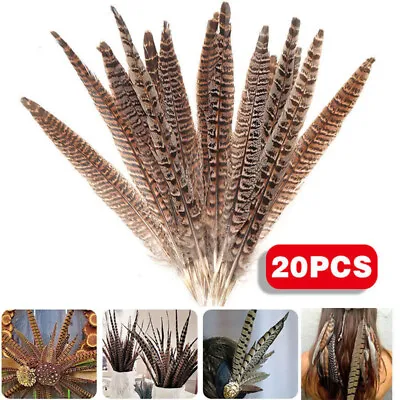 20x Natural Pheasant Tail Feathers Arts Crafts Hat Costume Wedding Fly 25-30cm • £7.99