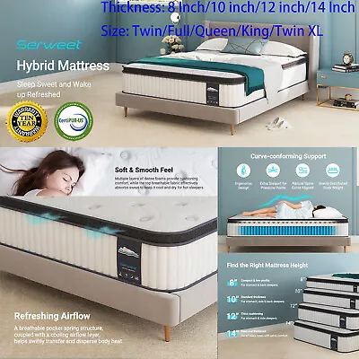 8  10  12  14  Memory Foam Mattress Topper Twin Full Queen King Twin XL Size NEW • $149.99