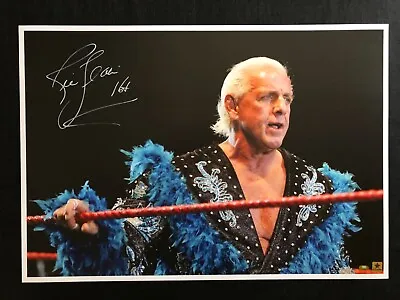 $165 • Buy WWE WWF Ric Flair Signed Autographed 50x72cm Photo With COA Val Cert+ph Proof 