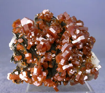 Lustrous Candy Red Vanadinite Crystals On Black Barite Morocco Globe Minerals • $32