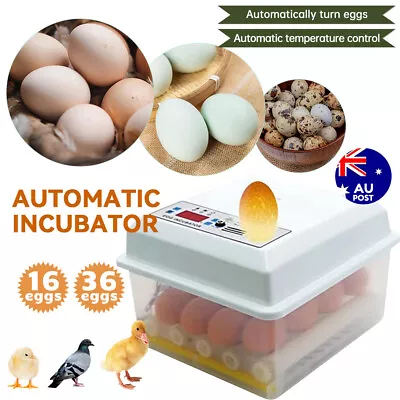 16-64 Egg Incubator Fully Automatic Egg Turning Hatcher Chicken Duck Egg Poultry • $42.99