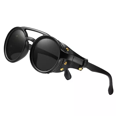 Retro Round Cyber Steampunk Sunglasses With Side Shields Mountaineering Glacier • $13.99