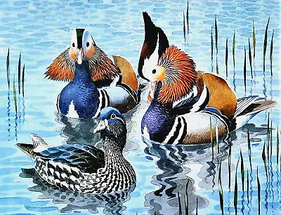 Mandarin Ducks On Pond. Vintage Print Of A  Painting By Tunnicliffe • £2.89