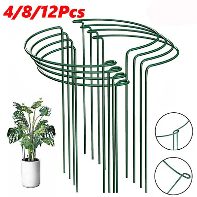 £12.99 • Buy 4/12xRound Metal Plant Supports Stake For Peonies Hydrangea Strong Stakes Garden