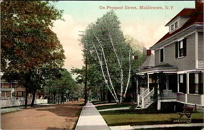 Middletown NY On Prospect Street 1910 Antique Postcard S90 • $7.95