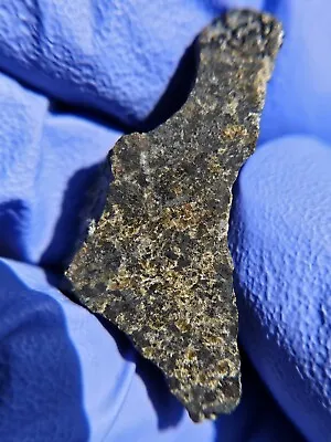 Meteorite**NWA 13366 Martian Peridotitic Sherg.**3.956 GramGORGEOUS ENDCUT!!! • $479.99