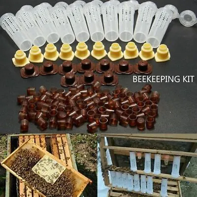 Bee Queen Rearing Cupkit Complete Box System Beekeeping Cage-Kit/Set Cup • £7.99