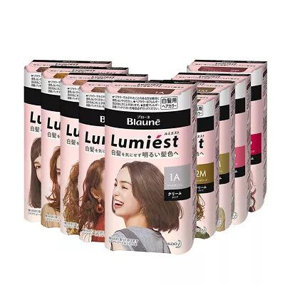[LIESE BLAUNE] Lumiest Treatment Cream Color GRAY COVERAGE Hair Dye Kit NEW • £25.32