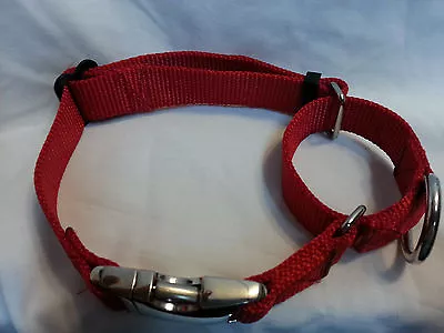 Training Martingale Dog Collar METAL BUCKLES  Strong Nylon • $14.95