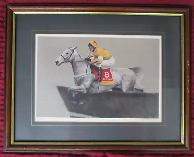 Lovely Vintage N W Brunyee Limited Ed Signed & Framed One Man  Racehorse Print • £34.97