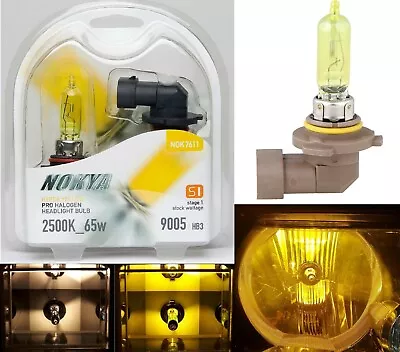 Nokya 2500K Yellow 9005 HB3 Nok7611 65W Two Bulbs Light DRL Daytime Replacement • $22.80