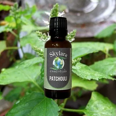 100% Pure Organic Patchouli Essential Oil - FREE SHIPPING • $43.99