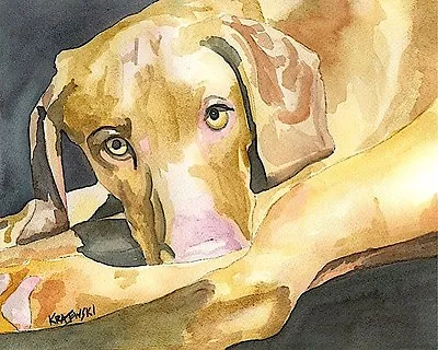 Vizsla Dog 11x14 Signed Art PRINT RJK Painting    • $31.50