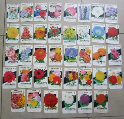 Lot Of 38 Old Vintage 1950's - FLOWER SEED PACKETS - Lone Star - EMPTY • $24.99