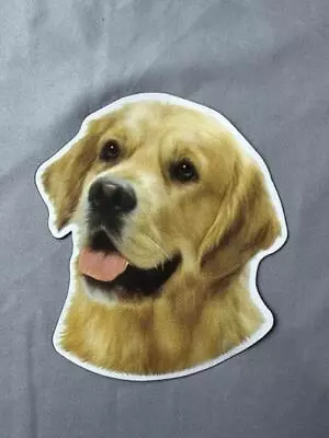 Golden Retriever Car Magnet 5 1/2  X 5 1/4  Ssc • $4.99