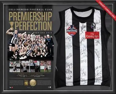 Collingwood Magpies 2010 Premiers Team Hand Signed Framed Jumper Swan Pendlebury • $1995