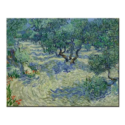 Van Gogh -Olive Orchard LandscapeHand Painted Oil Painting Repro On Canvas Deco • $97.77