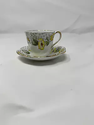 Vintage Salisbury Tea Cup & Saucer Fine Bone China England  Convolvulus  • $14.54