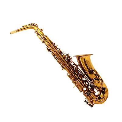 Eastern Music Dark Gold Lacquered Alto Saxophone Mark VI Type High Grade PC Case • $529