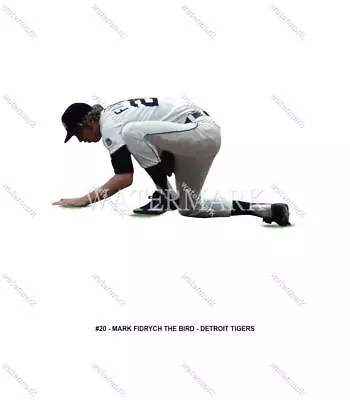 GI790 Mark Fidrych Bird & Detroit Tigers 8x10 11x14 16x20 24x36 Photo • $5.95