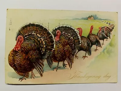 $5.95 • Buy Thanksgiving Parade Of Turkeys Tuck's Vintage Postcard Embossed Posted 1907 I1