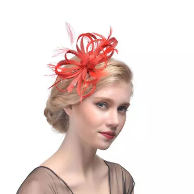 Large Wedding Fascinator Headband Aliceband Ladies Day Races Royal Ascot • £7.99