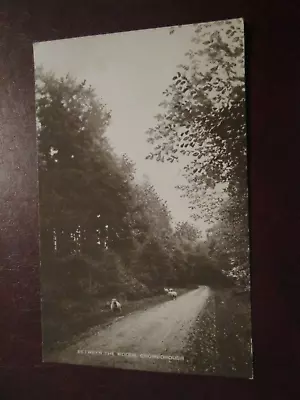 £3.99 • Buy Postcard - Between The Woods, Crowborough (Unposted) AH Homewood, Burgess Hill
