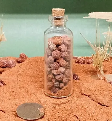 $20 • Buy Barite Desert Rose Rock Miniatures In Bottle