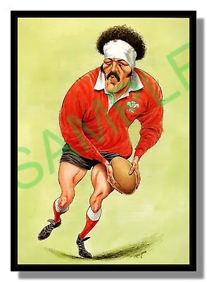Framed Picture Mervyn Davies By John Ireland Rugby Free P&p UK • £10