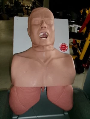$999.99 • Buy Simulaids Adult Airway Management Intubation Trainer Manikin