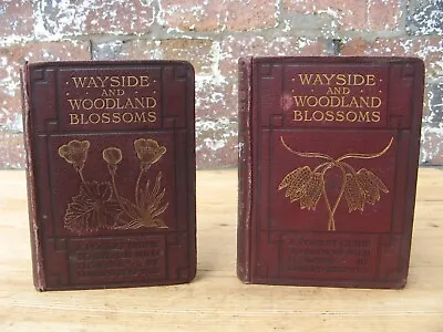 £40 • Buy 1905 Wayside And Woodland Blossoms- Edward Step 1st Edition Wildflowers