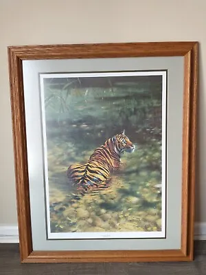 Matthew Hillier  Cooling Down  Hard Signed Numbered Print Framed Excellent • $98