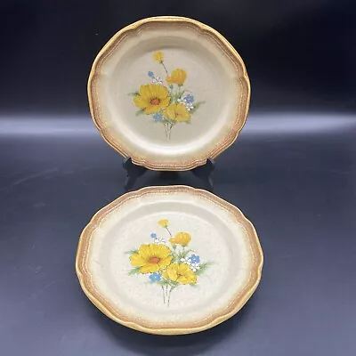 2 Mikasa Whole Wheat Spring Time #E8077 Japan Salad/luncheon Plates • $13