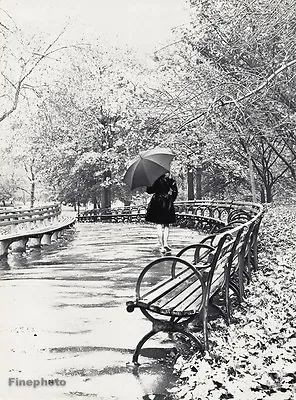 1966 Vintage WINGATE PAINE Rainy Day Female Fashion Umbrella Photo Gravure Art • $169.21