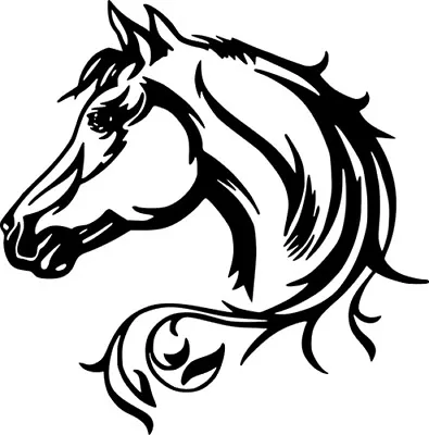 Horse Head Beauty Wild Horses Car Truck Wall Window Laptop Vinyl Sticker Decal • $4.99