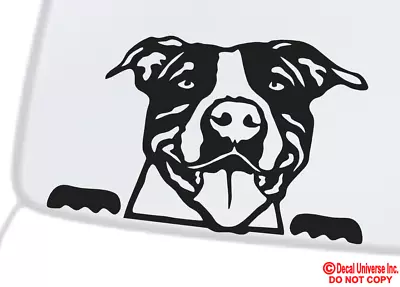 PITBULL FACE Vinyl Decal Sticker Car Rear Window Wall Bumper Dog Terrier Puppy • $3.69