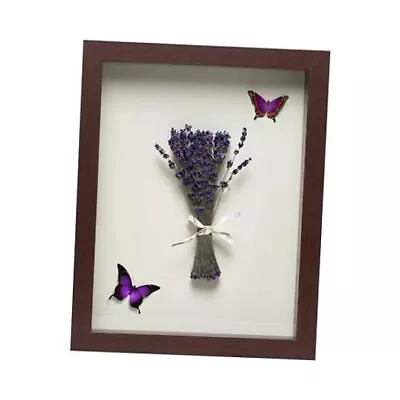  8” X 10” Wooden Shadow Box Frame – Display Case With Soft Felt 8 X10  Mahogany • $30.40